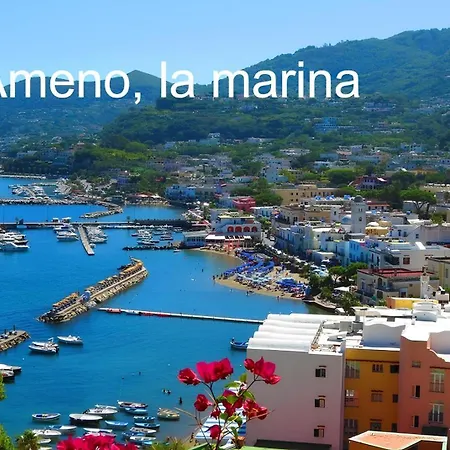 Petite Casa Caterina Appartement Ischia